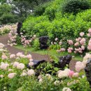 동화마을 이미지