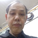 현대이용소 Daum카페
