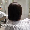 더헤어아뜰리에 | 염색 후 두피 모발케어에 진심인 여진헤어아뜰리에 모카브라운 염색 후기 feat. 순정쌤 테슬컷