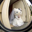 이지뷰티 - 동대문구 | 웨딩촬영 후기📸 연온필름, 이지뷰티