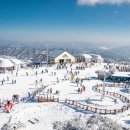 휘닉스중앙평창