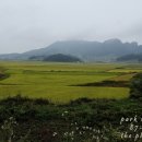 신전리해수욕장 이미지