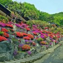 금강사 - 서구 북항로245번길 13-27 | 금강사