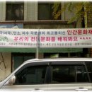 낭연자수