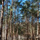 대기리마을회관 이미지