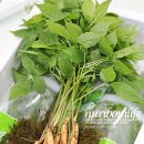 윤희네농장 이미지