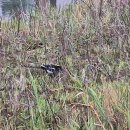 다대포해수욕장역 이미지