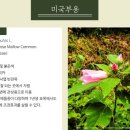 능전