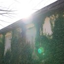 아미미술관 이미지