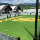 가평댕댕이애견펜션&글램핑골드 이미지