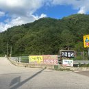 아침가리 계곡 캠핑장 | 가리밸리캠핑장 후기｜인제에서 즐기는 그늘 캠핑과 아침가리 계곡 물놀이