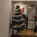 낙원 | 내돈내산 청도 "고립낙원" 후기