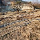 (주)현토 이미지