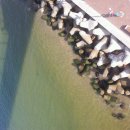 사랑마실 이미지