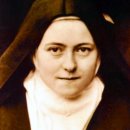 대전가톨릭대학교 대학원 이미지