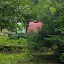 도사곡휴양림 이미지