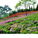 한밭수목원 이미지