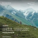 서울 트레일 22K 순토 레이스 후기