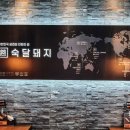 철든돼지 이미지