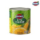 리치스 이미지