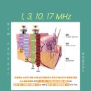 도매유통 이미지