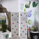 아이엠네추럴 이미지