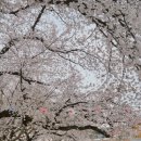 가사문학초등학교 이미지