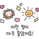 놋북랄프