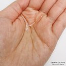 주식회사씨존플러스 | 페이스바디오일 NYM님 펀더멘탈 스킨케어 오일 스킨앤플러스 프랑스멀티오일 사용방법 솔직후기