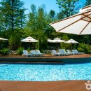 자작나무숲 스테이 이미지