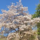 동명산소 이미지