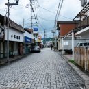 상당히 괜찮은 가게 | 일본 에히메 오즈성 맛집, 시라이시 우동 후기