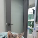 대전본동물병원 이미지