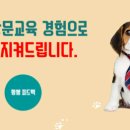 세이브독 이미지