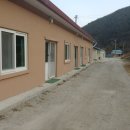 태림민박 이미지