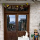 강아지와 고양이 | 공주 카페보니비 정원이 예쁜 강아지와 고양이가 있는 카페 내돈내산 솔직후기