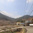 신촌정자마을회관 Daum카페