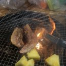 가평 개별 바베큐 펜션과 남이섬#