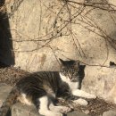 남산약수터 이미지