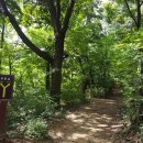 원수산MTB공원 이미지