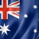 호디자인