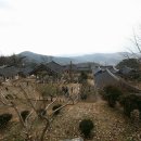 사철나무집민박 이미지