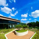 스타벅스 안양덕현DT점 이미지