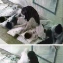 정서 어린이집 이미지