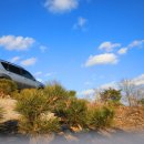 금수산 농원 이미지