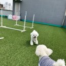 사랑한다, 멍 이미지