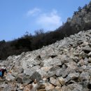 달마스테이 이미지