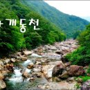 신흥산장 이미지