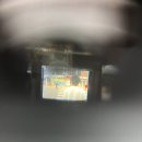 캐논 뉴오토보이 + 코닥 컬러플러스 200 | 첫 필름카메라 현상, 연희동 출사 (인물사진)