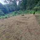 양도면-9 이미지